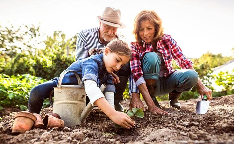 family gardening