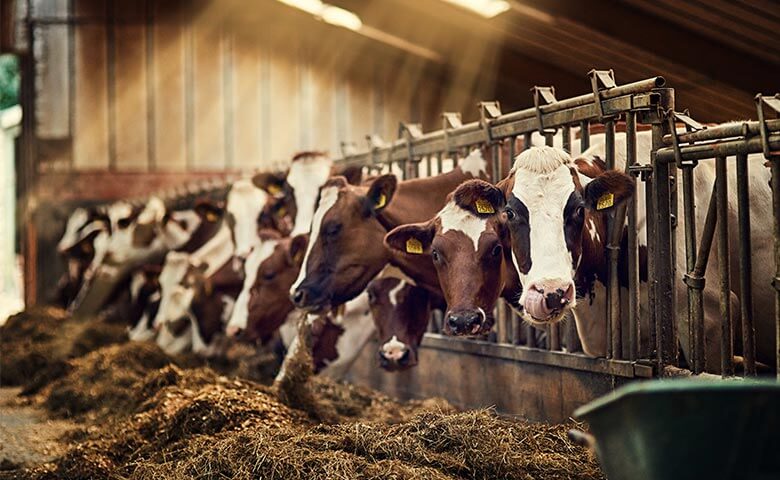 crop and livestock operating laws