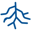 tree roots icon